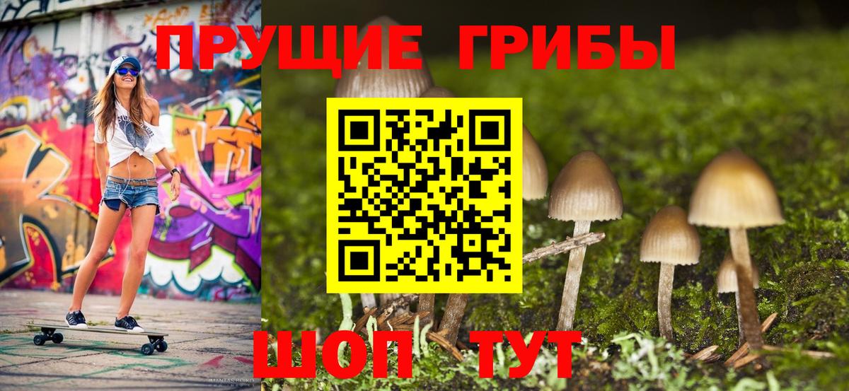 Псилоцибиновые грибы мухоморы  Вход с VPN  Сланцы  Галлюциногенные грибы Psilocybe 